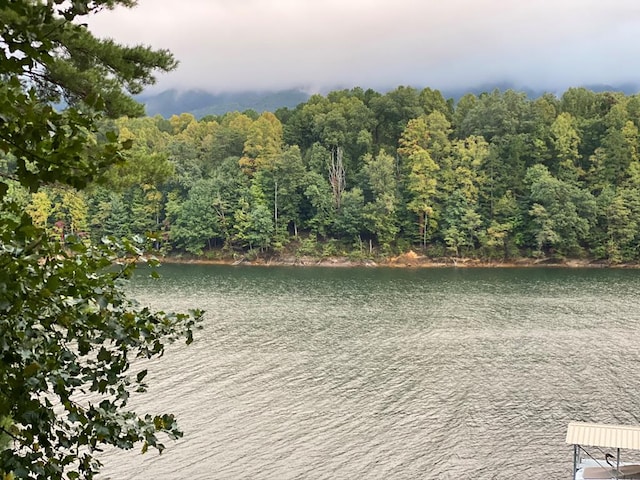 TBD Coves Edge Drive, Butler, TN 37640