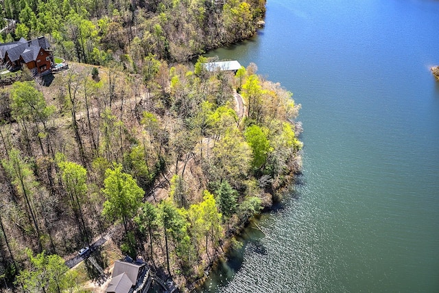 TBD Coves Edge Drive, Butler, TN 37640