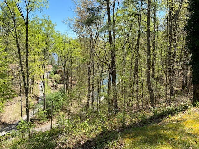 TBD Coves Edge Drive, Butler, TN 37640