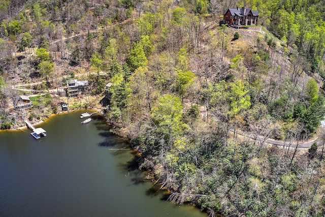 TBD Coves Edge Drive, Butler, TN 37640