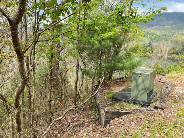 TBD Coves Edge Drive, Butler, TN 37640