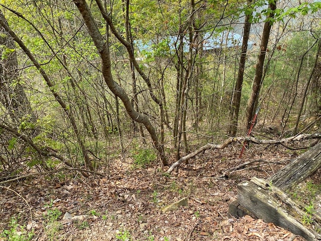 TBD Coves Edge Drive, Butler, TN 37640
