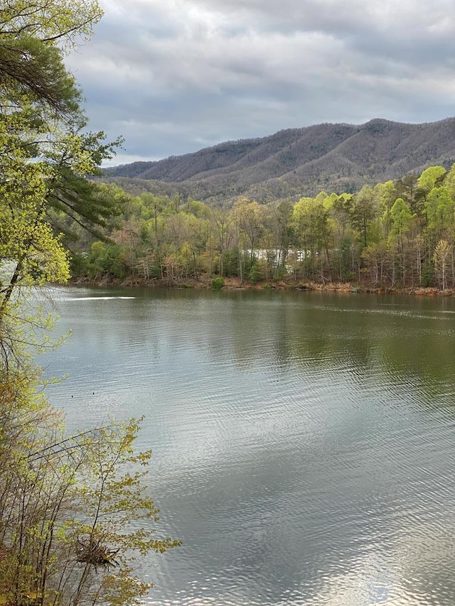 TBD Coves Edge Drive, Butler, TN 37640