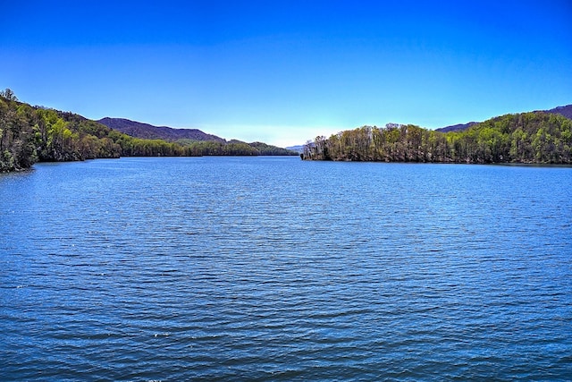 TBD Coves Edge Drive, Butler, TN 37640