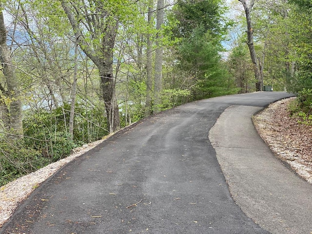 TBD Coves Edge Drive, Butler, TN 37640