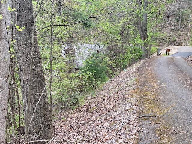TBD Coves Edge Drive, Butler, TN 37640