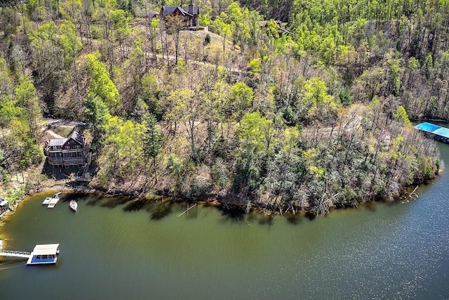TBD Coves Edge Drive, Butler, TN 37640