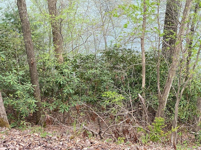 TBD Coves Edge Drive, Butler, TN 37640