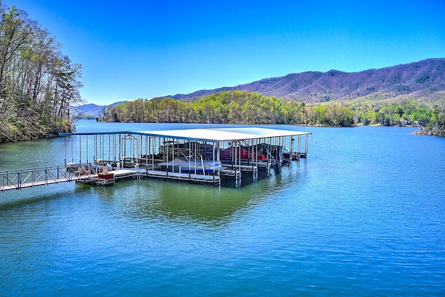 TBD Coves Edge Drive, Butler, TN 37640