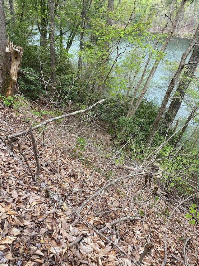 TBD Coves Edge Drive, Butler, TN 37640