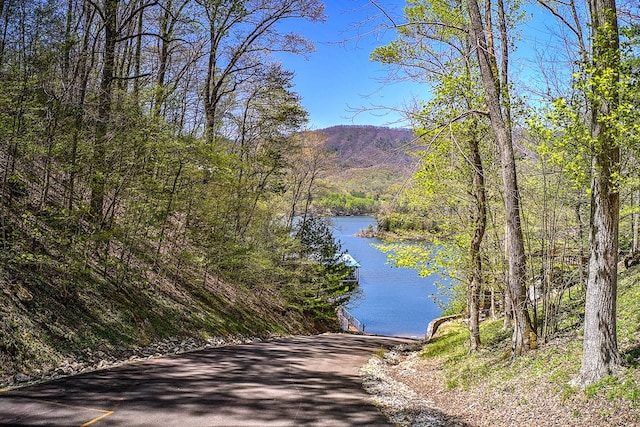TBD Coves Edge Drive, Butler, TN 37640