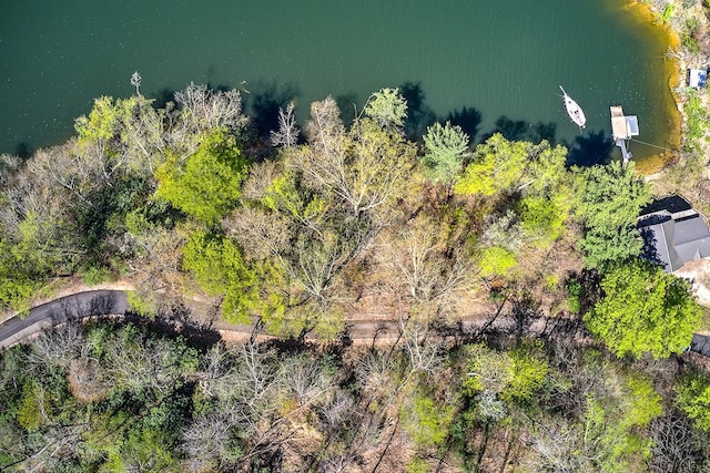 TBD Coves Edge Drive, Butler, TN 37640