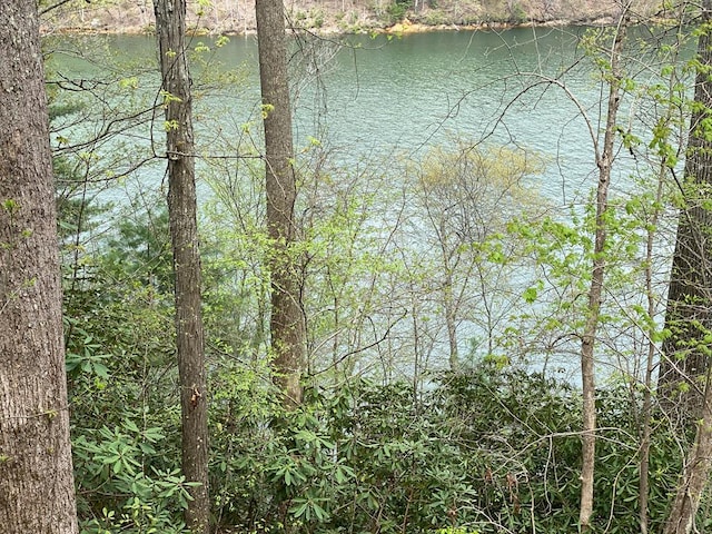 TBD Coves Edge Drive, Butler, TN 37640