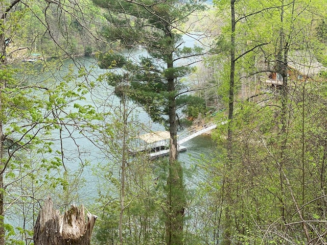 TBD Coves Edge Drive, Butler, TN 37640