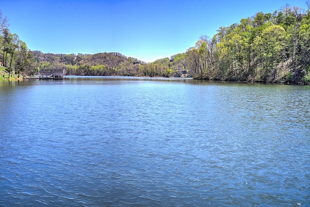 TBD Coves Edge Drive, Butler, TN 37640