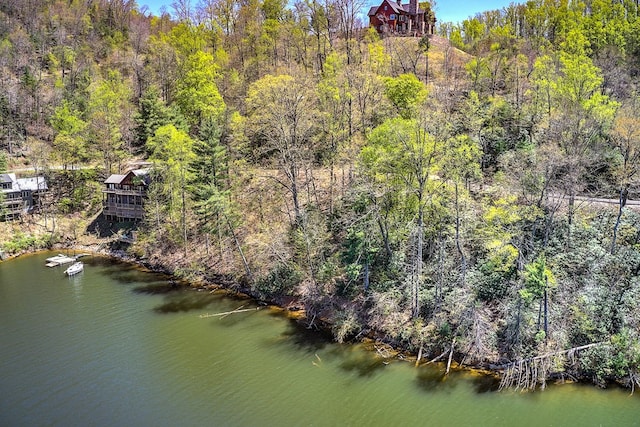 TBD Coves Edge Drive, Butler, TN 37640