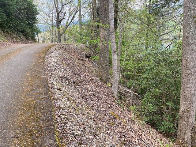 TBD Coves Edge Drive, Butler, TN 37640