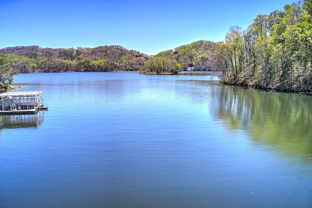 TBD Coves Edge Drive, Butler, TN 37640