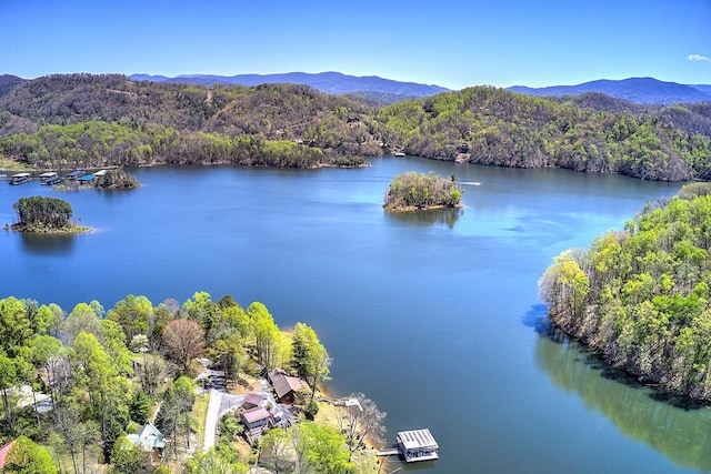 TBD Coves Edge Drive, Butler, TN 37640