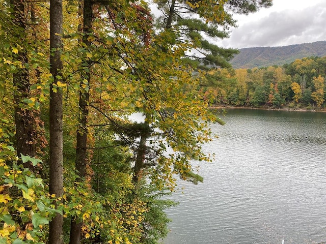 TBD Coves Edge Drive, Butler, TN 37640