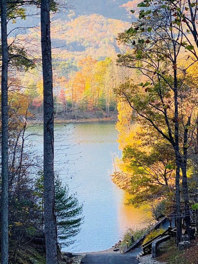 TBD Coves Edge Drive, Butler, TN 37640