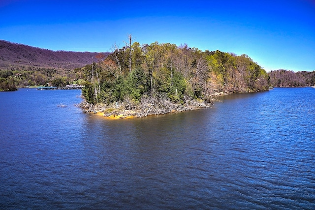 TBD Coves Edge Drive, Butler, TN 37640
