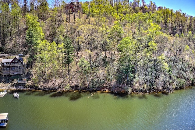TBD Coves Edge Drive, Butler, TN 37640