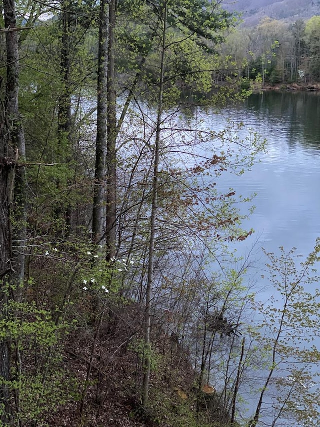 TBD Coves Edge Drive, Butler, TN 37640