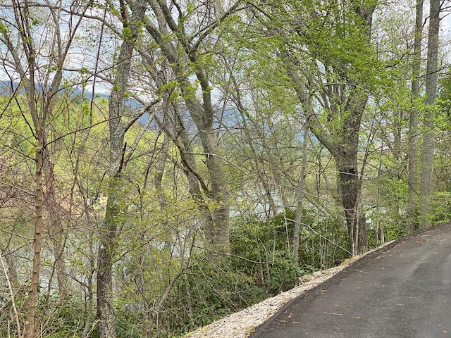 TBD Coves Edge Drive, Butler, TN 37640