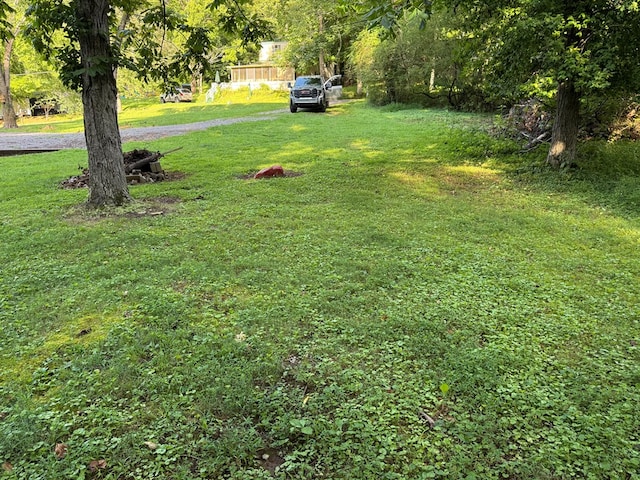 0 Holmes Creek Rd, Smithville, TN 37166 - photo 4