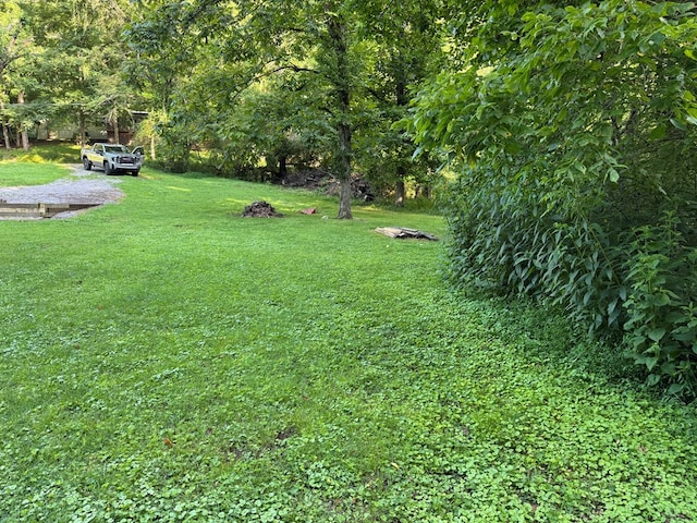0 Holmes Creek Rd, Smithville, TN 37166 - photo 5