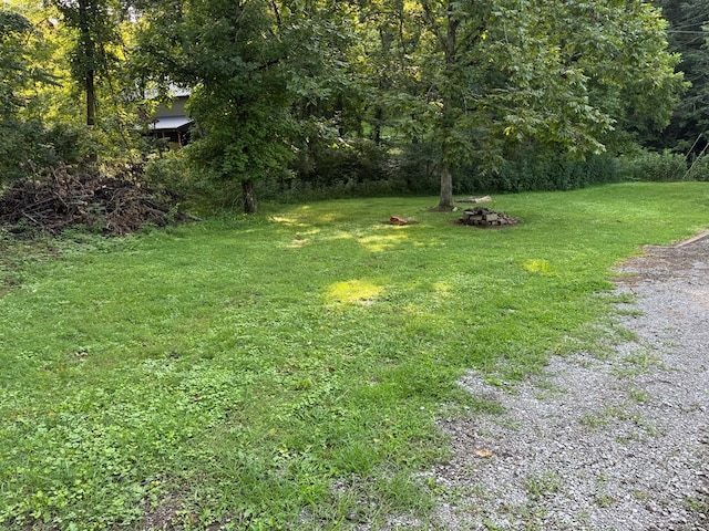 0 Holmes Creek Rd, Smithville, TN 37166 - photo 3