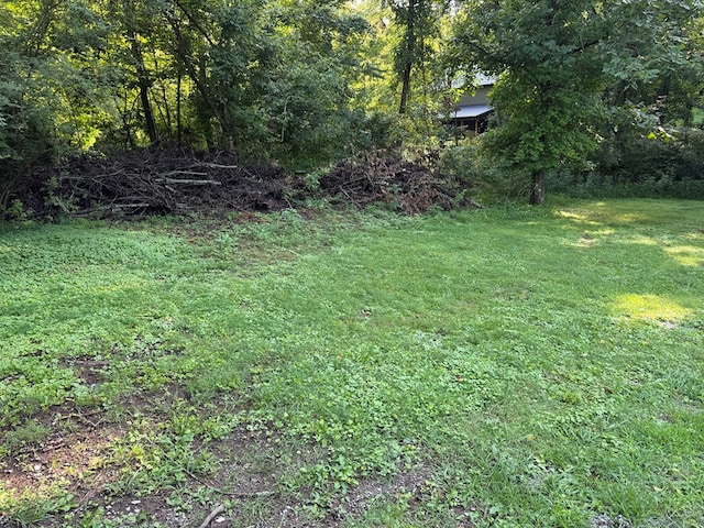 0 Holmes Creek Rd, Smithville, TN 37166 - photo 2
