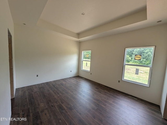 249 Old Grimsley Ct, Grimsley, TN 38565 - spare room with a tray ceiling and dark wood-type flooring