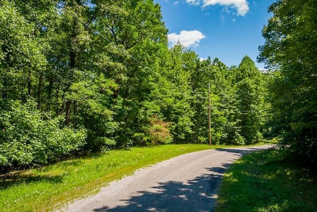 Listing photo 2 for LOT2 Tanner Dr, Monterey TN 38574