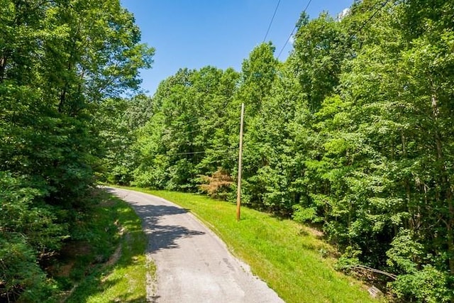 LOT2 Tanner Dr, Monterey TN, 38574 land for sale