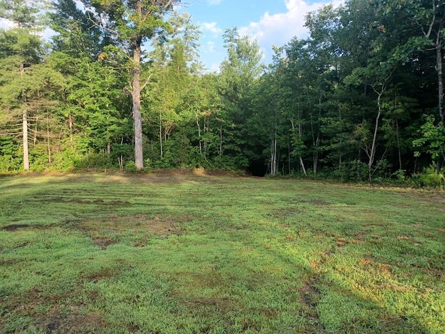 0 N Cowboy Way, Jamestown, TN 38558 - photo 4