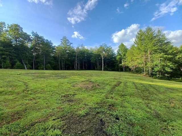 0 N Cowboy Way, Jamestown, TN 38558 - photo 5