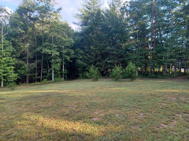 0 N Cowboy Way, Jamestown, TN 38558 - photo 7