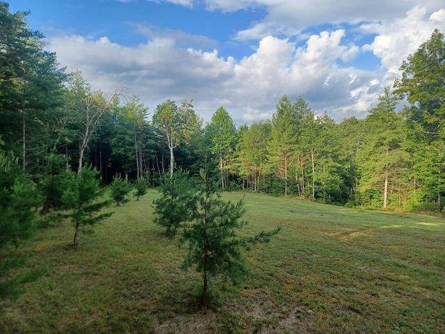 0 N Cowboy Way, Jamestown, TN 38558 - photo 3