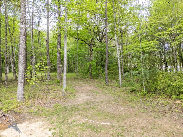 300 E Cove Rd, Monterey, TN 38574 - photo 32