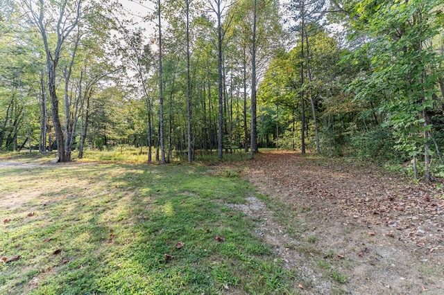 300 E Cove Rd, Monterey, TN 38574 - photo 24