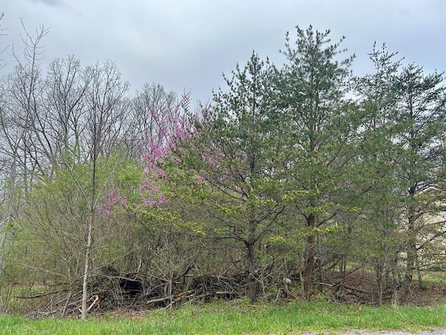 254 Kingsdown Dr, Crossville TN, 38558 land for sale