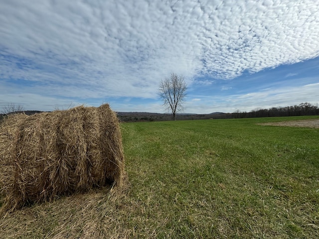 1032 Kendall Smith Rd, Pikeville, TN 37367 - view of grassy yard featuring a view of countryside