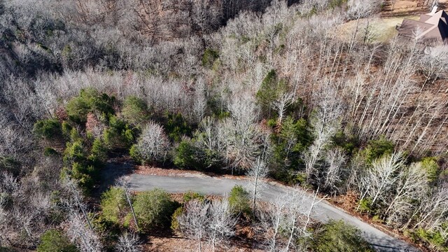 30 Lakepointe Dr, Albany, KY 42602 - photo 13
