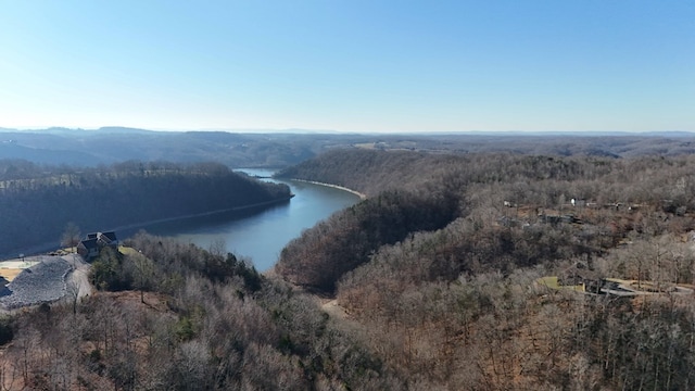 30 Lakepointe Dr, Albany, KY 42602 - photo 15