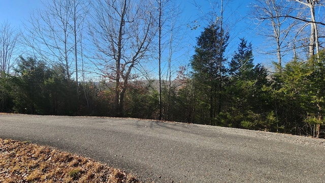 30 Lakepointe Dr, Albany, KY 42602 - photo 5