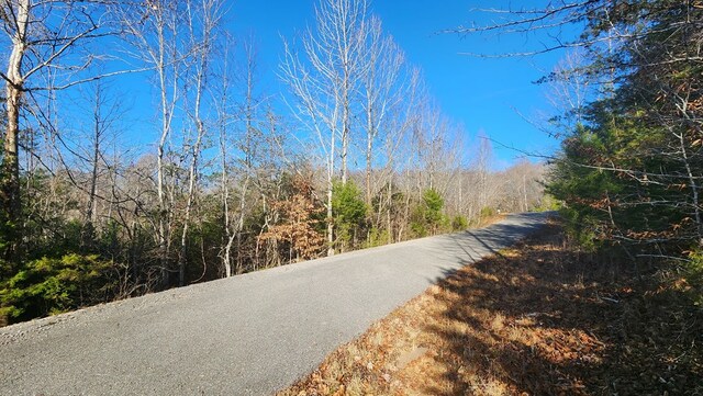 30 Lakepointe Dr, Albany, KY 42602 - photo 4