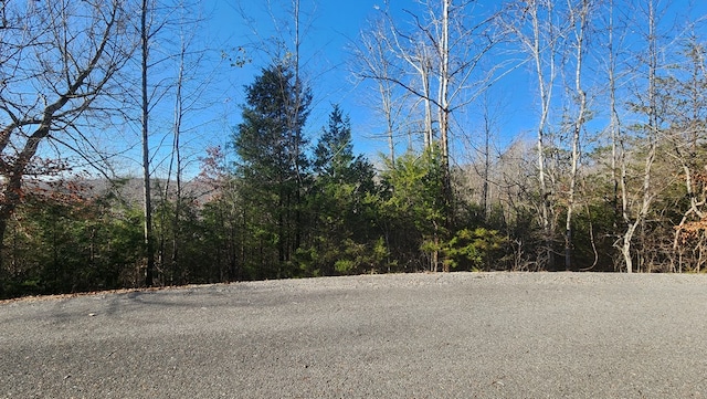 30 Lakepointe Dr, Albany, KY 42602 - photo 6