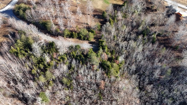 30 Lakepointe Dr, Albany, KY 42602 - photo 11